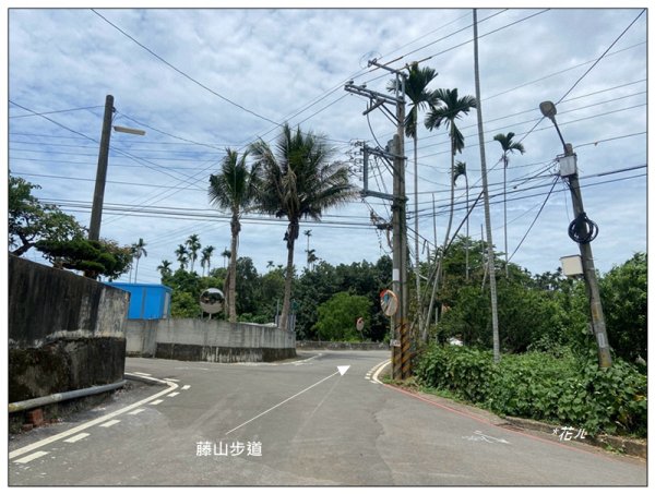 樟普寮山、藤山步道、微熱山丘3107213