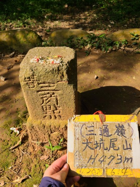 挑炭古道(三通嶺古道)+慈濟山步道2780426