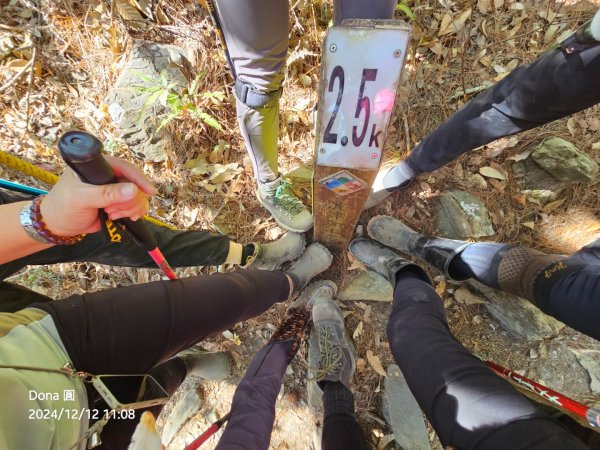 【谷關七雄】波津加(H1771.6m)肉腳配速成功2670450