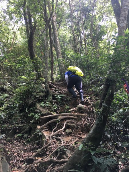 馬武督外鳥嘴山955904