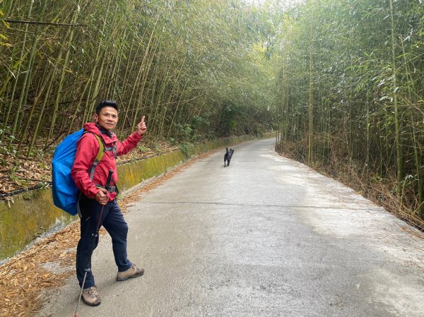 烏嘎彥竹林步道.馬都安古道【因為堅持 所以更顯珍貴】2064486