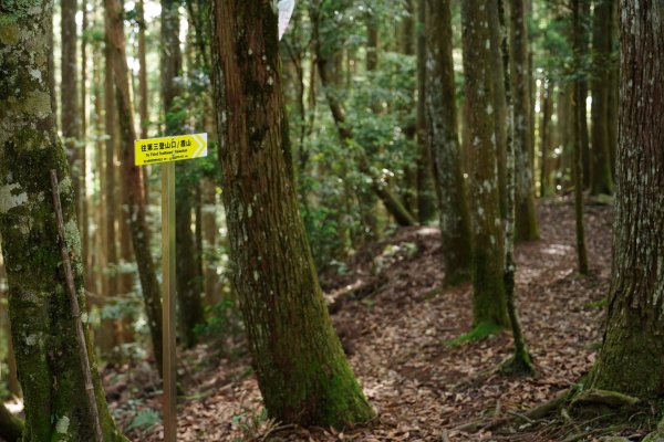 新竹 五峰 油羅山、霞山2798248