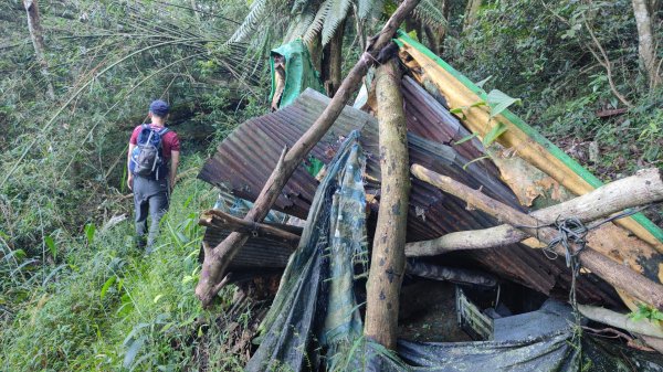 嚼嚼斯古道部落探勘鱉頭山~象山 2024年9月28日2615639