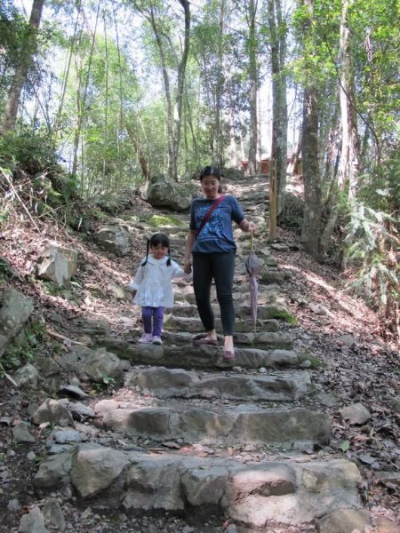 1010325八仙山森林遊樂區3098053