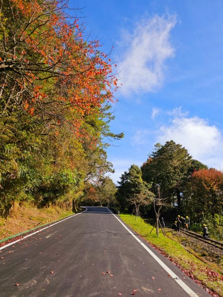 台灣難抵極與祝山觀日步道(小笠原山) - 2024嘉遊好步道．來嘉走走2670116