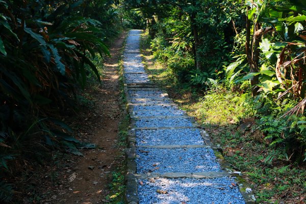 猴山岳。二格山。小獅山連走616143