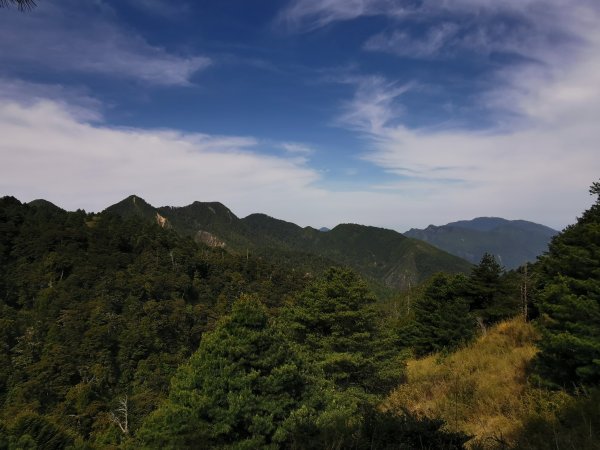 一日大霸群峰之高山杜鵑看好看滿 ( 大霸尖山、小霸尖山、伊澤山、加利山 )- 2021/5/21374759