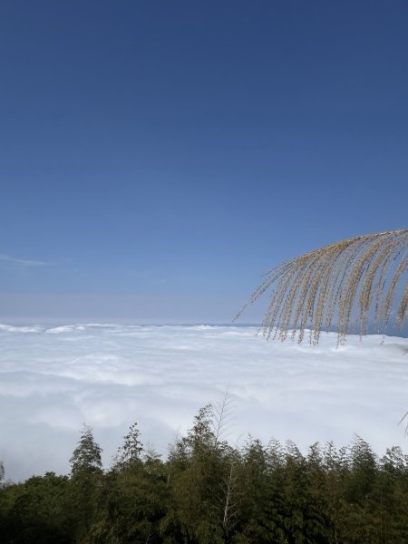 小百岳-集集大山2708185