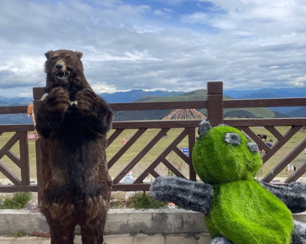 川藏深度之旅33天/A行程2901382