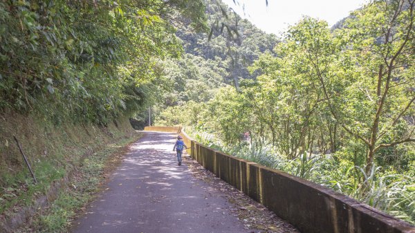 闊瀨古道-沿北勢溪谷而行的夏末之旅（淡蘭古道）2287679