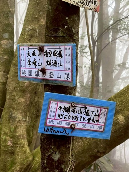 🌈5/10（日）大混山縱走李棟山（李棟山莊）✨FB：熊熊趴爬走~歡迎加入🌈3052549