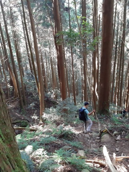 台灣藍波one之征服加里山723302