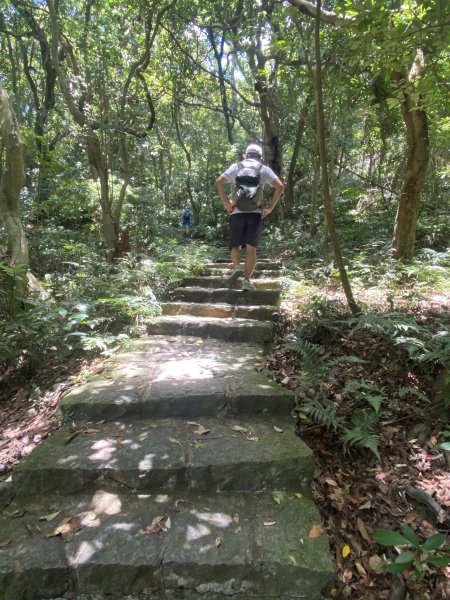 《陽明山秘境健行｜翠峰瀑布 × 天母古道 夏日涼爽路線》2852222