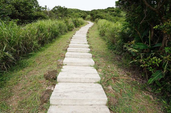 新北 瑞芳 南子吝山2836954