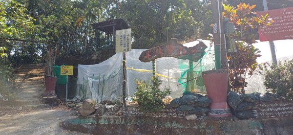 棚集山.屏東來義2742089