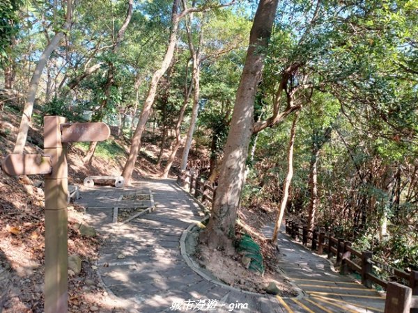 【苗栗】貓貍山公園功維敘隧道2981665
