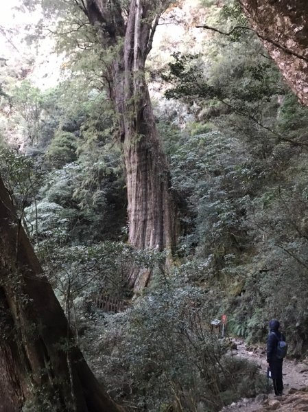 面見北大武聖山967883