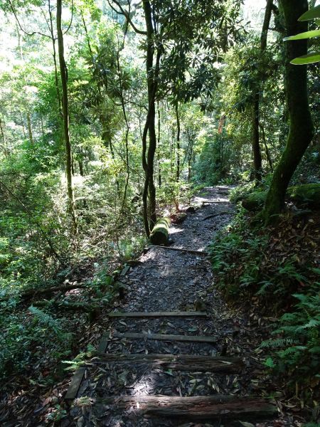 中級山尋幽~台中和平區鳶嘴山(第5次)378769