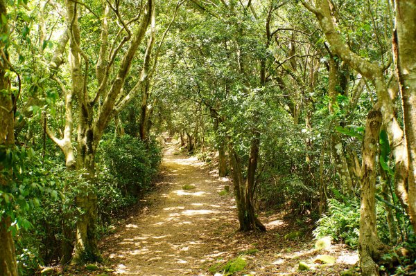 新竹 芎林 飛鳳山、中坑山、石壁潭山3050437