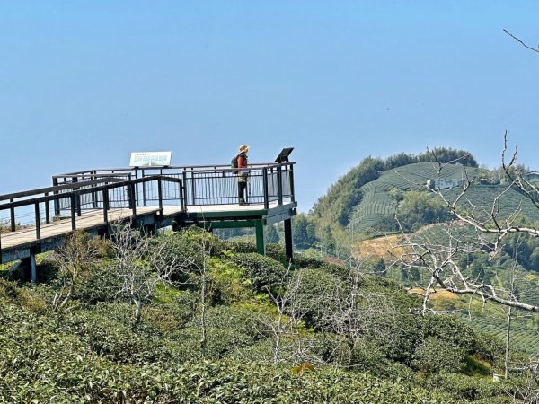 溪頭六連峰O繞2741781