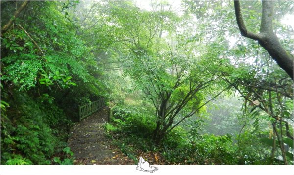 貂山古道&燦光寮古道小O (淡蘭古道北路585798