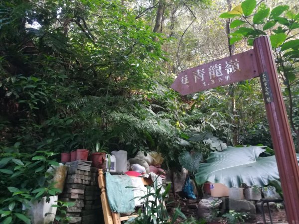 土城清水大尖山/朱財華紀念步道833990