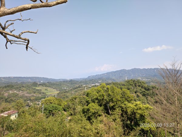 20250309 南觀音山步道 & 青春嶺2731492