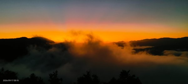 #翡翠水庫壩頂 #霞光 #日出 #雲海 9/173119410