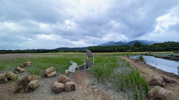 關渡花海,大龍峒孔廟,保安宮,迪化街2345345