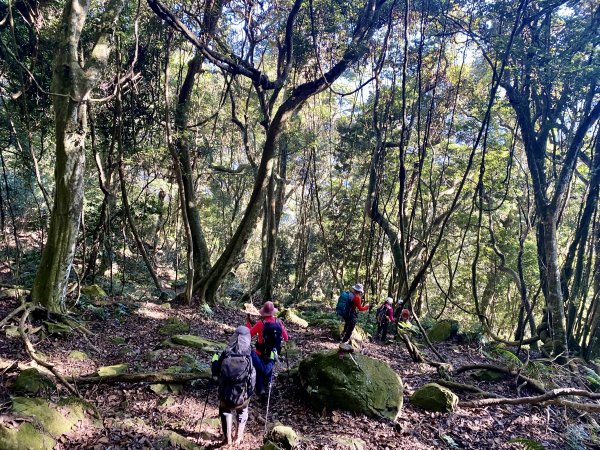 加里山縱走虎山    2021/12/41539168