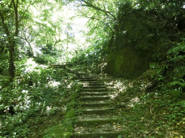 土庫岳．栳寮古道．更寮古道120811