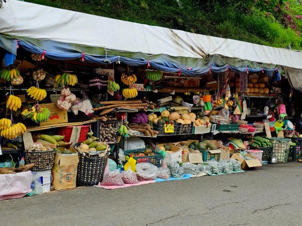 大坑9、10號步道-(台中)臺灣百大必訪步道2805956