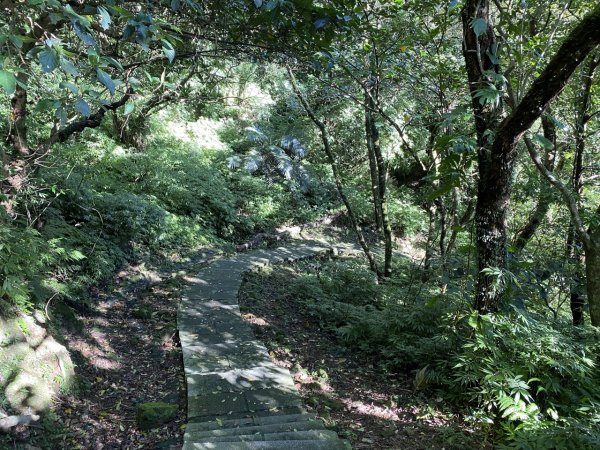 2023/12/14 碇內尖山 龍門山 五分山 淡蘭古道中路2399828