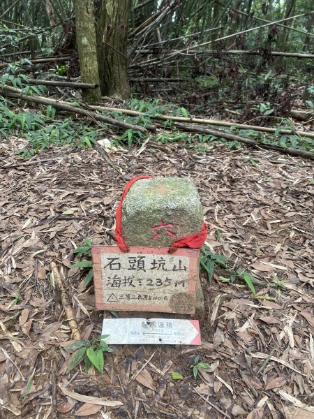 20250614-《皮皮獅秘密任務啟動！搶先探路三段崎古道｜森遊竹縣鐵粉任務大公開》2852032