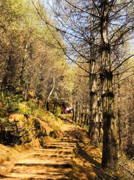 1090413中之關天池-初嚐梅子雞940903