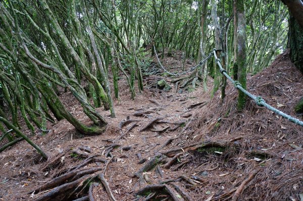 台中和平鳶嘴山600719