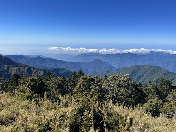 雪山西稜 2023_1105(D4B) 奇峻山2341920