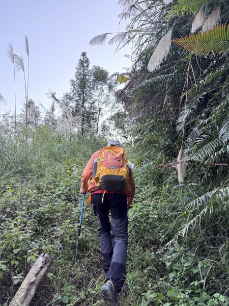 苗栗冷門山--蕃婆石山5基石連登   2026.01.112981345