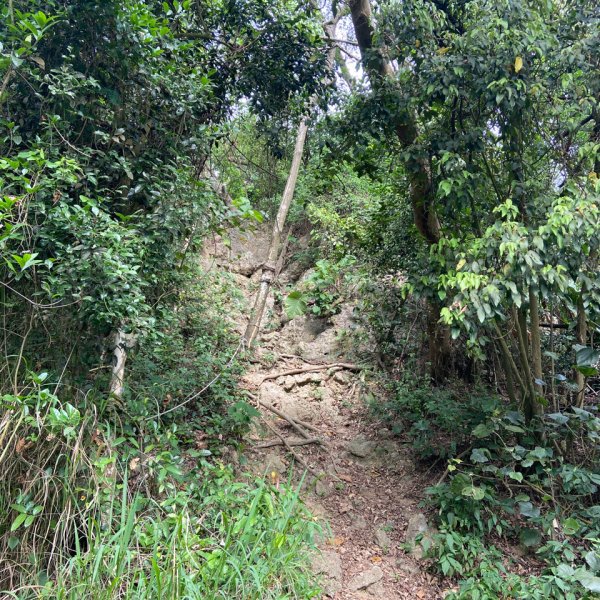 柴山，一年四季3085755