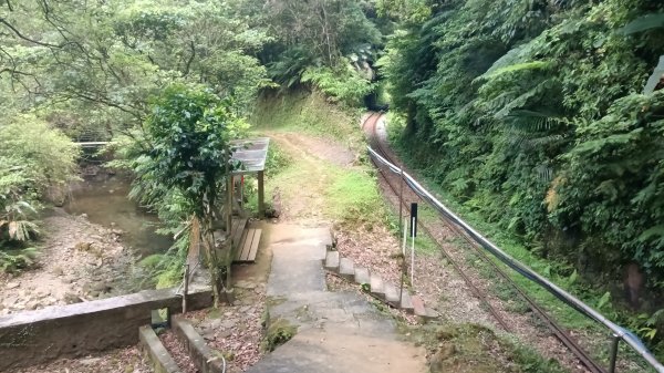 平溪區碩仁里-幼坑古道-幼坑山-幼坑山南鞍-大平林山-番子坑生態園區-番子坑3086155