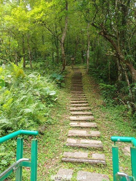 【花蓮壽豐】秀麗山景。 池南國家森林遊樂區森林浴步道2266013