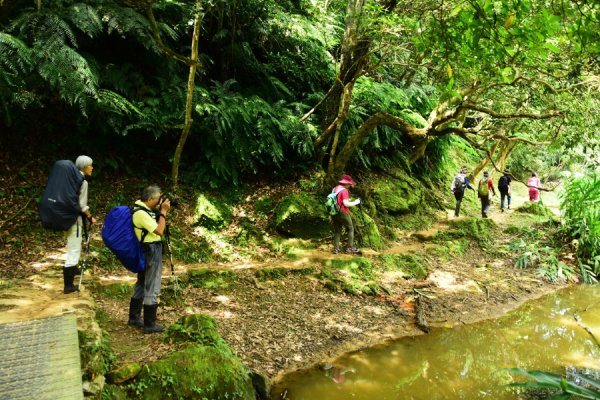 【新北市】山中慢遊 內溝山