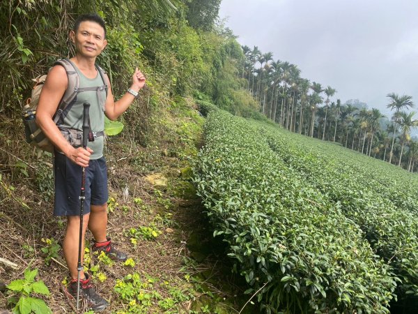 三寶山(烏心石山.鳩州嶺.尖凍山)步道【變成夢魘的大秘寶】2639847