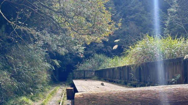 眠月線健行2993000