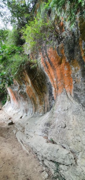 鳶山(小百岳)1675760