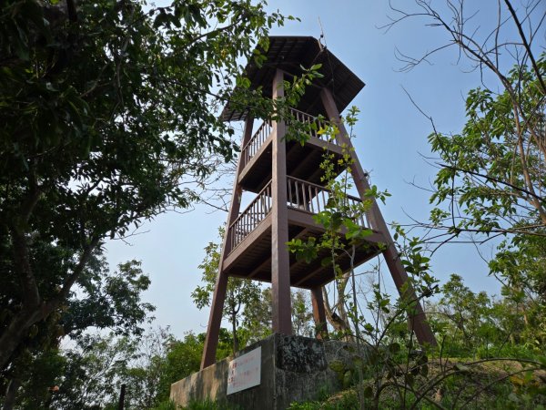 北頭洋生態健走步道3024001