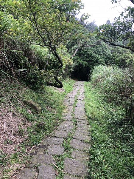 環七山人車分道-百拉卡到冷水坑2171390