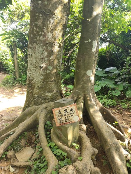 微笑山線：【天上山系】烘爐地土地公段：南勢角山2959365