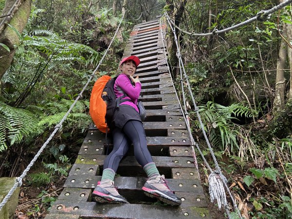 尋覓雨霧中的獅子|獅仔頭山|Mt.Shizaitou|隘勇線|峯花雪月2384990