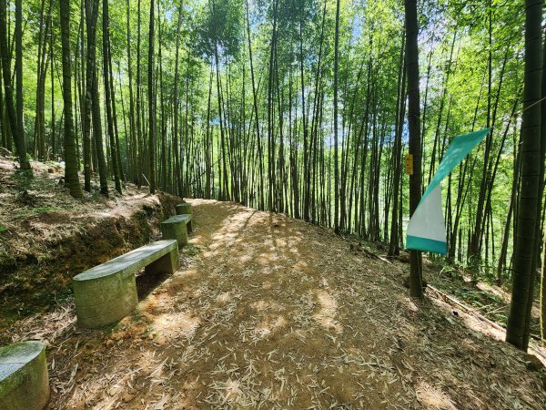 20251004雲頂之丘番子田山2927208